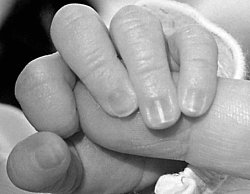 Delicate Baby's Nails