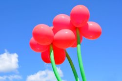 Flower Balloons
