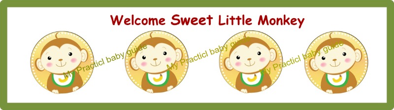 Free Printable Monkey Baby Shower Custom Bottle Labels