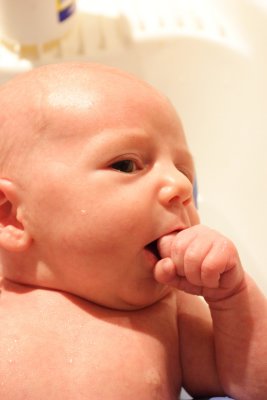 newborn newborn