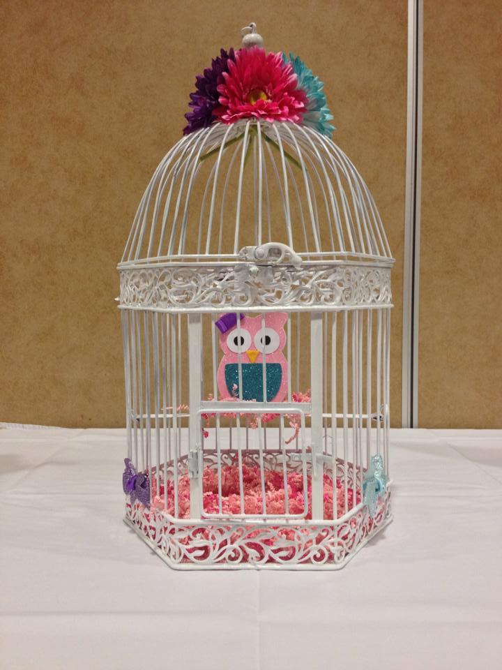 Baby Owl in a bird Cage