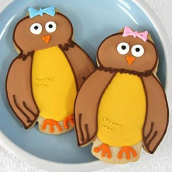 owl baby shower cookies