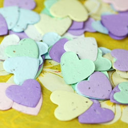 eco confetti for baby shower