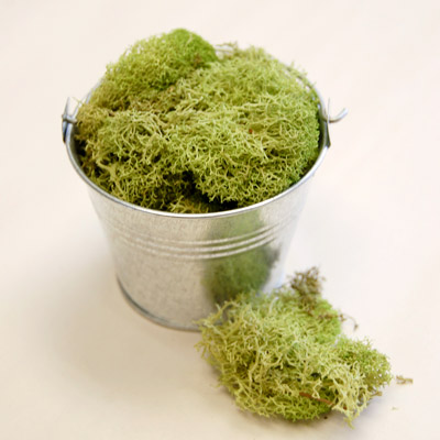 How to Assemble a Potted Moss Place Card Holder Favor for an Eco Friendly Baby Shower?