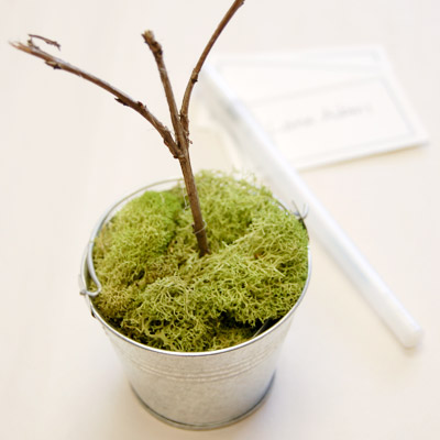 How to Assemble a Potted Moss Place Card Holder Favor for an Eco Friendly Baby Shower?