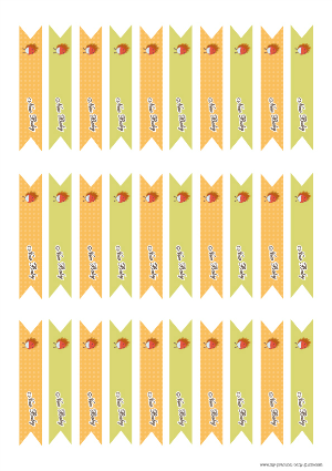 Free Printable Thanksgiving Baby Shower Flags