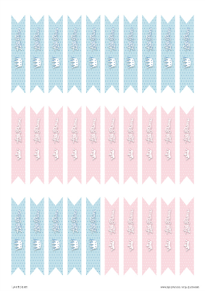 Free Printable Flag Tags Gender Reveal Baby Shower Little Prince or Princess