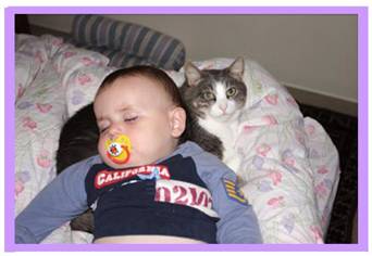 baby sleeps on a cat