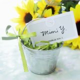 baby shower silver pail favor