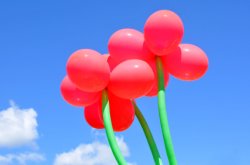 Flower Balloons