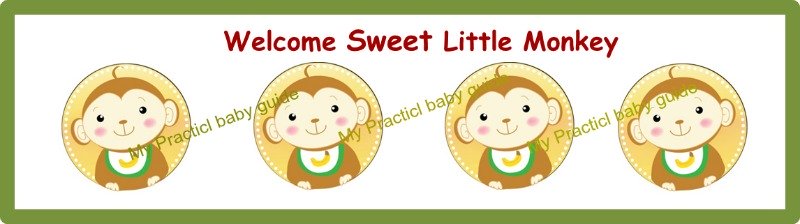 Free Printable Monkey Baby Shower Custom Bottle Labels