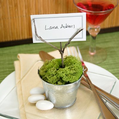 DIY Potted Moss Place Card Holder Baby Shower Favor