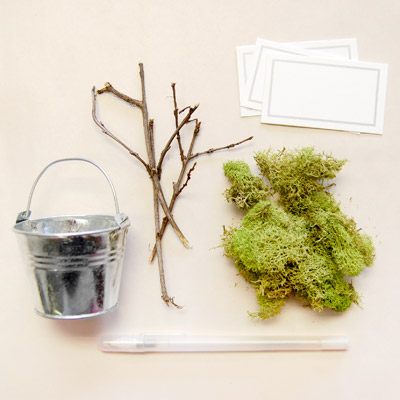 How to Assemble a Potted Moss Place Card Holder Favor for an Eco Friendly Baby Shower?